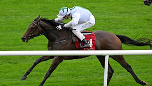 <p>Pink Venom and Ben Coen win for owner Noel Hartley and trainer Johnny Murtagh. Pic: Healy Racing</p>