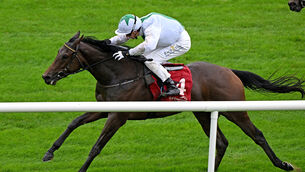 <p>Pink Venom and Ben Coen win for owner Noel Hartley and trainer Johnny Murtagh. Pic: Healy Racing</p> <p>Pink Venom and Ben Coen win for owner Noel Hartley and trainer Johnny Murtagh. Pic: Healy Racing</p>