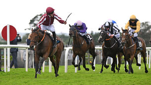 <p>WHIP HAND: Jockey Daniel King celebrates after partnering Putapoundinthejar to victory in the Galway Hurdle. Picture: Healy Racing </p> <p>WHIP HAND: Jockey Daniel King celebrates after partnering Putapoundinthejar to victory in the Galway Hurdle. Picture: Healy Racing </p>