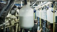 Freshly processed milk
