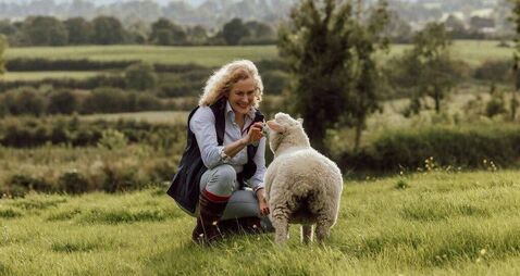 From sheep to shop: Cavan farm finds new value in wool