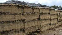 Silage Pit