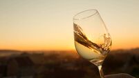Chardonnay Glass