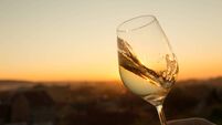 Chardonnay Glass