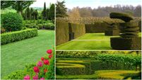 Revealed: The strategic plan for a winter garden that wows
