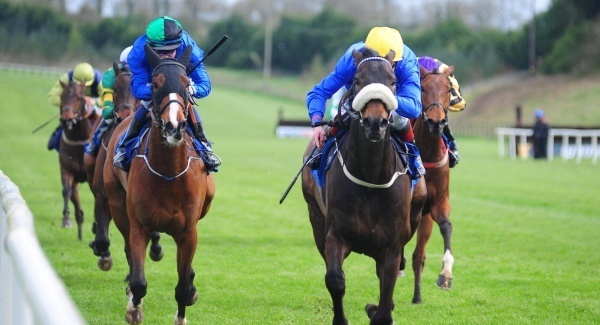 Limerick cancel another day’s racing after more rain