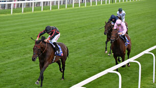 <p>IMPROVING PERFORMER: Maltese Cross powers to victory at York in the hands of Tom Marquand. Picture: Healy Racing</p> <p>IMPROVING PERFORMER: Maltese Cross powers to victory at York in the hands of Tom Marquand. Picture: Healy Racing</p>