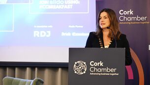 <p>Cork Chamber president Susie Horgan said AI ambition must now be matched by Government support and investment. Picture: Larry Cummins</p> <p>Cork Chamber president Susie Horgan said AI ambition must now be matched by Government support and investment. Picture: Larry Cummins</p>