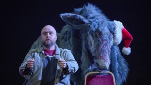 <p>Aidan Crowe in Animals, adapted from the short stories of Blindboy Boatclub, at the Abbey.  Picture: Ros Kavanagh</p>