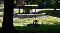 More than 80% of Europe experienced strong heat stress during summer 2026