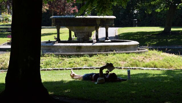 <p>A total of 80% of Europe experienced at least 'strong' heat stress, corresponding to feels-like temperatures of 32C to 38C. This included parts of Ireland. File picture: Denis Minihane.</p>