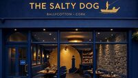 Plans lodged for rooftop dining terrace at The Salty Dog 