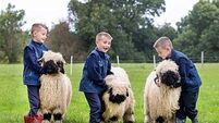 A selection of images chosen by the Irish Examiner picture desk