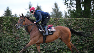 <p>Diamond Necklace and Brett Doyle pictured for Irish Champions Weekend Media Morning with trainer Aidan O'Brien.</p> <p>Diamond Necklace and Brett Doyle pictured for Irish Champions Weekend Media Morning with trainer Aidan O'Brien.</p>