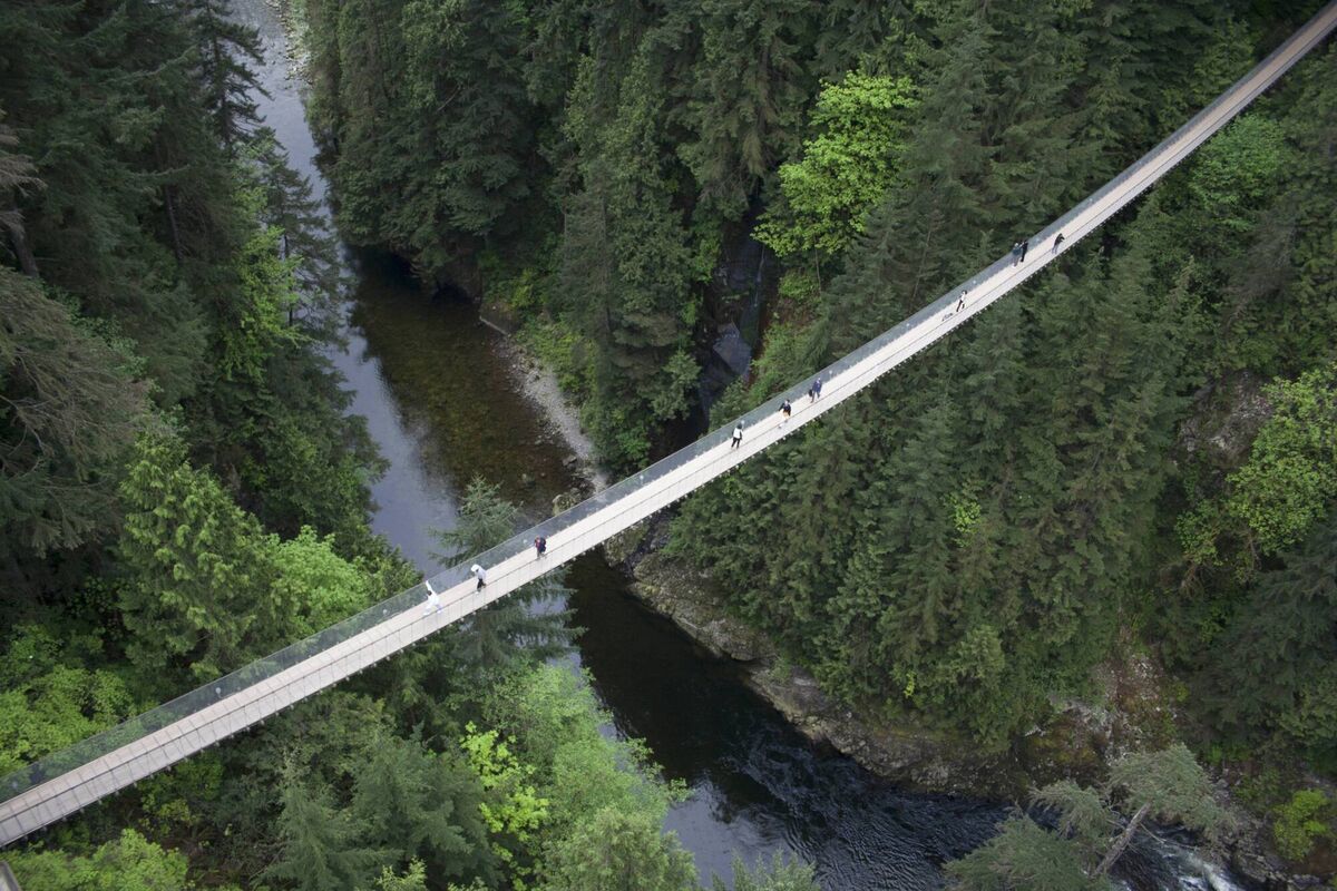 Capilano Suspension Bridge is over 130 metres long