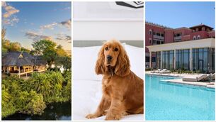 <p>Explore some of this week's best getaway opportunities</p> <p>Explore some of this week's best getaway opportunities</p>