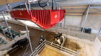 Facebook team to tackle AI-generated disinformation in run-up to European elections in June