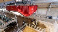 ‘Intelligent’ camera monitors calving contractions