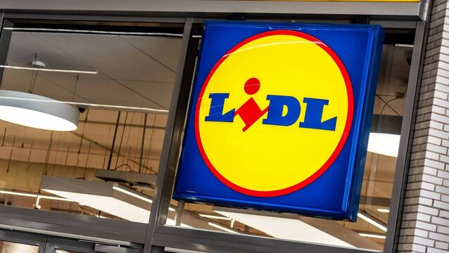 <p>Defendant shoplifted at Lidl, Bishopstown, on July 22. File picture</p>