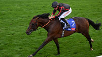 Maltese Cross can claim Arc glory for William Haggas