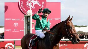 <p>Can Daryz go back-to-back? Pic: Healy Racing</p>