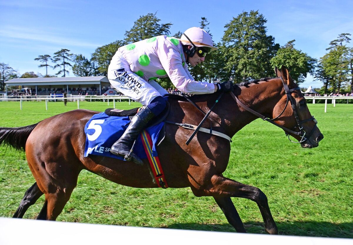 Rich Ricci-owned filly coasted into the lead with barely a shake of the reins before leaving the field in her wake. Pic: Healy Racing