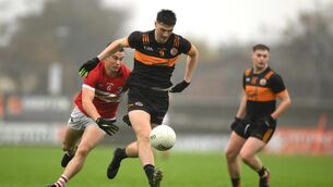 <p>Ben Murphy of Austin Stacks shone on his return. Pic: Brendan Moran/Sportsfile</p>