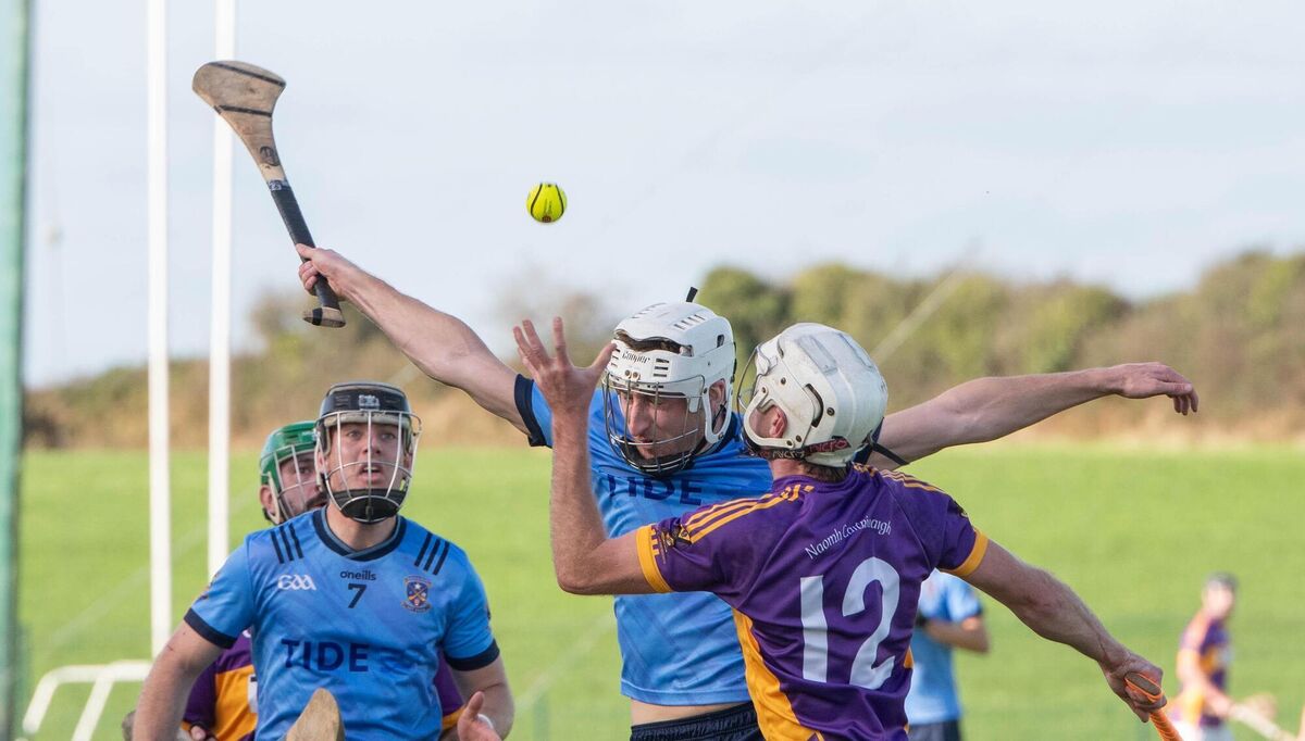 St Catherine's Matthew Mulcahy reaches out for the sliotar ahead of Barryroe's Conn Dineen during the PJHC semi final match in Ballymah. Pic: Howard Crowdy. St Catherine's Matthew Mulcahy reaches out for the sliotar ahead of Barryroe's Conn Dineen during the PJHC semi final match in Ballymah. Pic: Howard Crowdy.