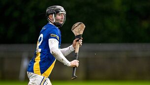 <p>Jamie Ryan of Loughrea. Pic: Seb Daly/Sportsfile</p>