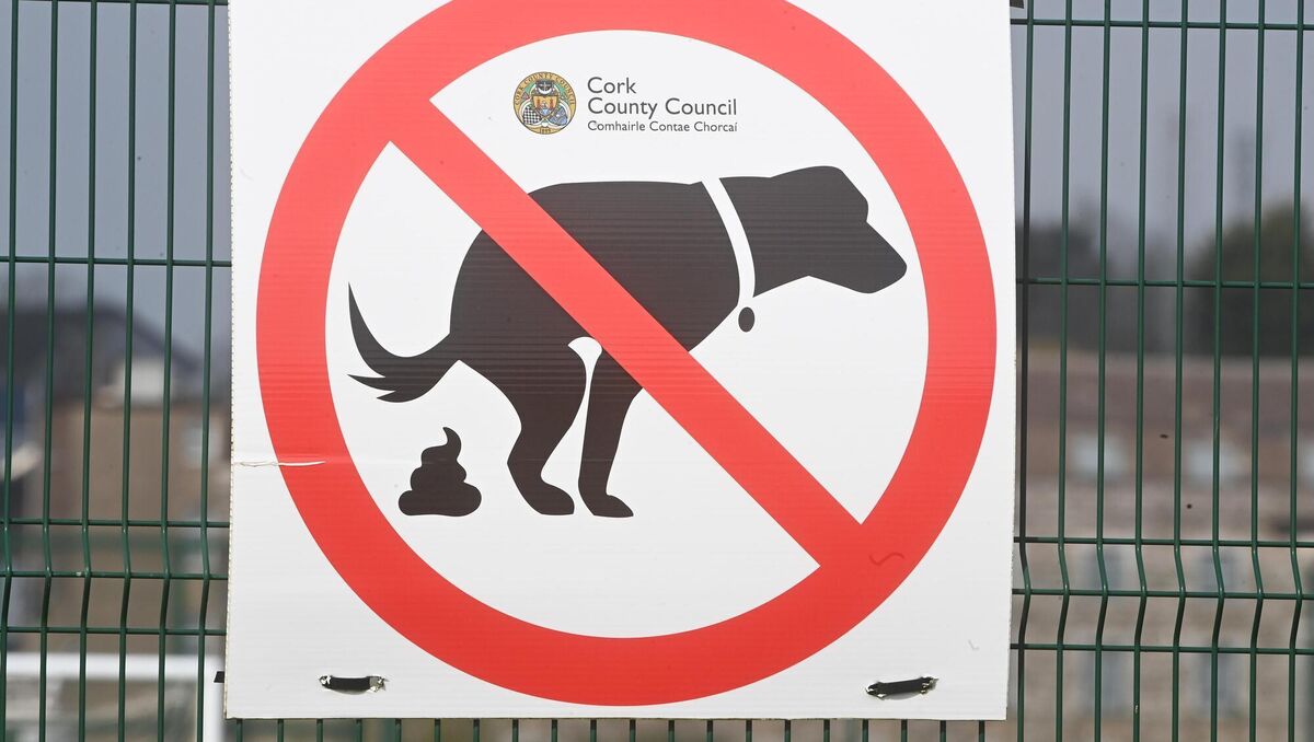 A Cork County Council sign advising dog walkers not to allow their dogs to poo in public places. The local authority issued just one fine notice for dog fouling last year. File picture: Larry Cummins A Cork County Council sign advising dog walkers not to allow their dogs to poo in public places. The local authority issued just one fine notice for dog fouling last year. File picture: Larry Cummins