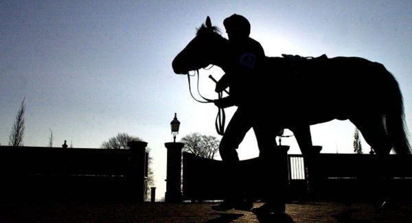 German rider dies at Australian racetrack