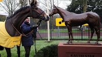  Kauto Star put down after fall