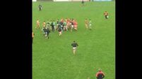 WATCH: Meath club game turns into a free-for-all at half time
