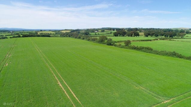 <p>The fine land at Rathroe, Thurles, Co Tipperary is 12km from Horse and Jockey and access to the M8. it is roughly 19km to 20km from Thurles and Cashel.</p>