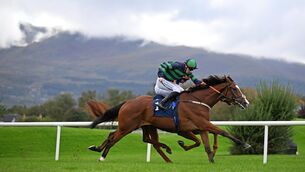 <p>Cailin Miorruilach and Billy Lee won for owners Michael Ryan and Ian Rush and trainer Paddy Twomey at Killarney. Pic: Healy Racing</p>