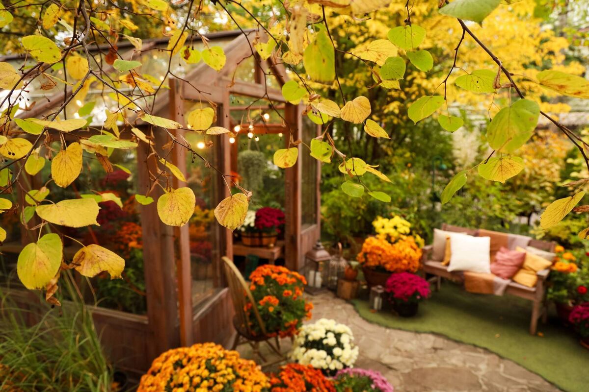 Autumn is a time to think about making changes to our garden, writes Fionnuala Fallon. P Autumn is a time to think about making changes to our garden, writes Fionnuala Fallon. P