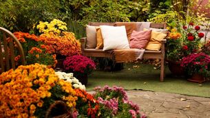 <p>This season offers us the ideal opportunity to rethink our gardens. File pictures</p>