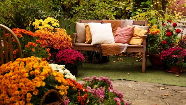 <p>This season offers us the ideal opportunity to rethink our gardens. File pictures</p>