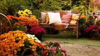 Vibrant garden scene with colorful flowers and cozy seating area