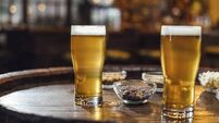 Glasses of Beer and Peanuts on a Wooden Table at a Pub, a Close Up