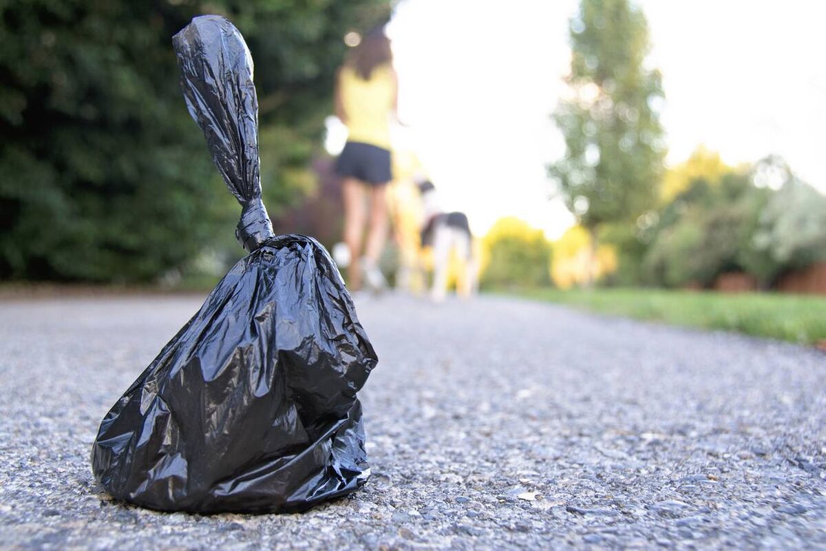 This week the Irish Examiner reported that Vision Ireland was highlighting how dog fouling continues to pose a particular problem for people with limited eyesight. Picture: iStock This week the Irish Examiner reported that Vision Ireland was highlighting how dog fouling continues to pose a particular problem for people with limited eyesight. Picture: iStock