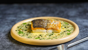<p>Aishling Moore's Hake with warm tartar sauce. Picture: Noel Sweeney</p>