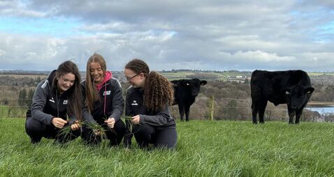 Cork City students champion country values in competition final