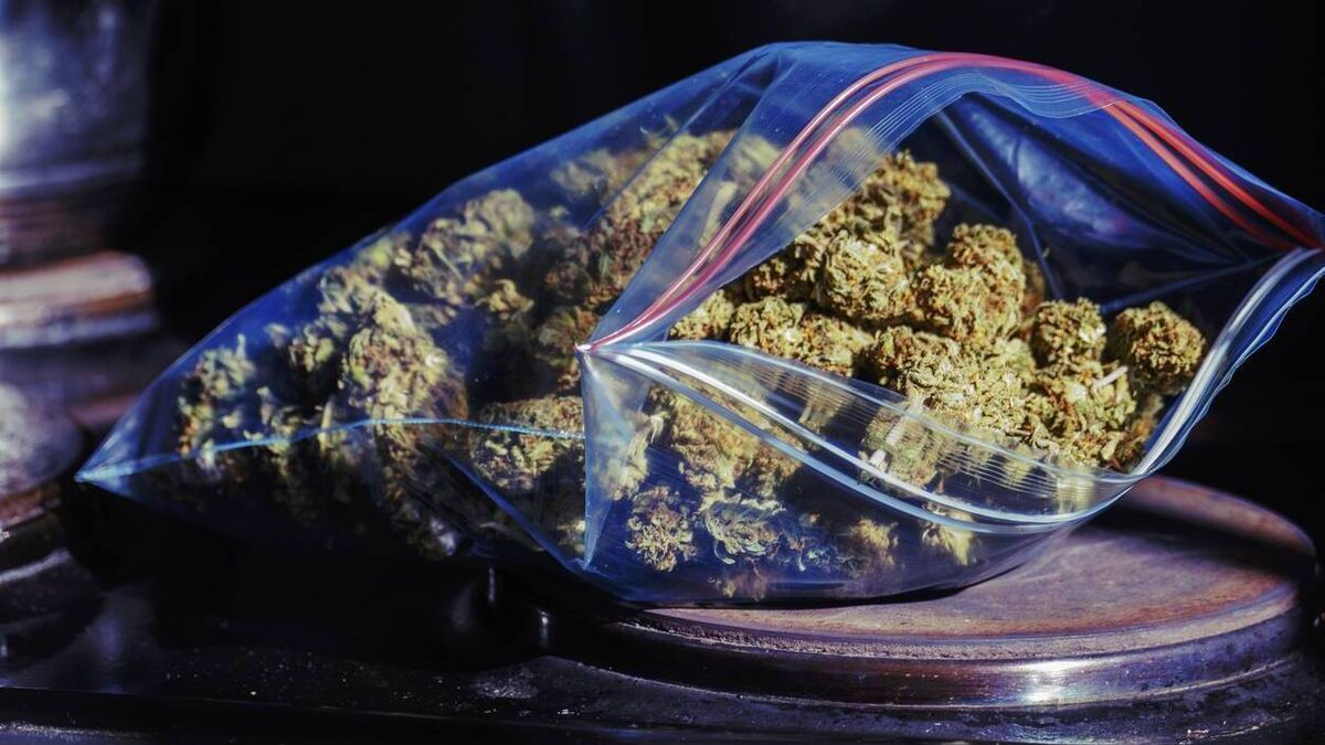 Two men charged after garda seizures of €350k–€500k cannabis in Cork