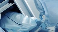 Preparation to the post mortem examination.