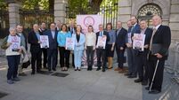 Patients and consultants take case for stem cell transplant unit in Cork to Leinster House
