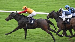 <p>The Austrian and Seamie Heffernan win for owners Anamoine Limited and trainer Jessica Harrington. Pic: Healy Racing</p>