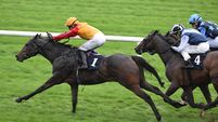 Cork jockey Kenneally lands 219/1 treble at Fairyhouse