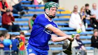 Limerick Premier IHC: Breen and Reidy guide Dromin Athlacca into final