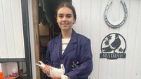 My Life with Madison McElhone: Meet the 16-year-old pigeon racer with 700 birds